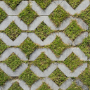 Grass Block