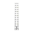 Telescopic