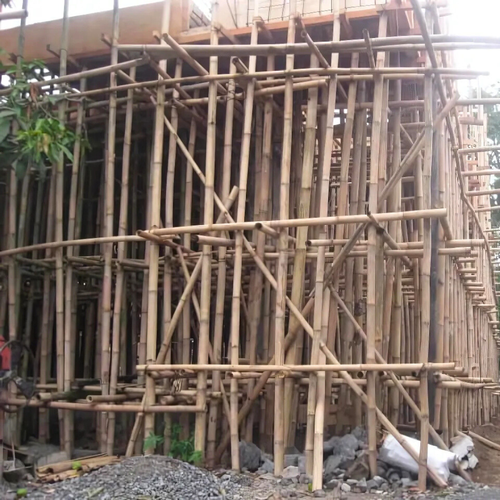 Bamboo