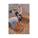 Hoe