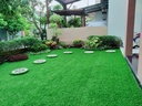 Synthetic Grass