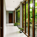 Window Louvers 