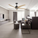 Ceiling Fans 54" Cyclone