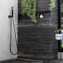 Hand Shower with Hanger