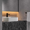 Basin Tall Faucet
