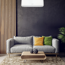AC Standard 1 PK