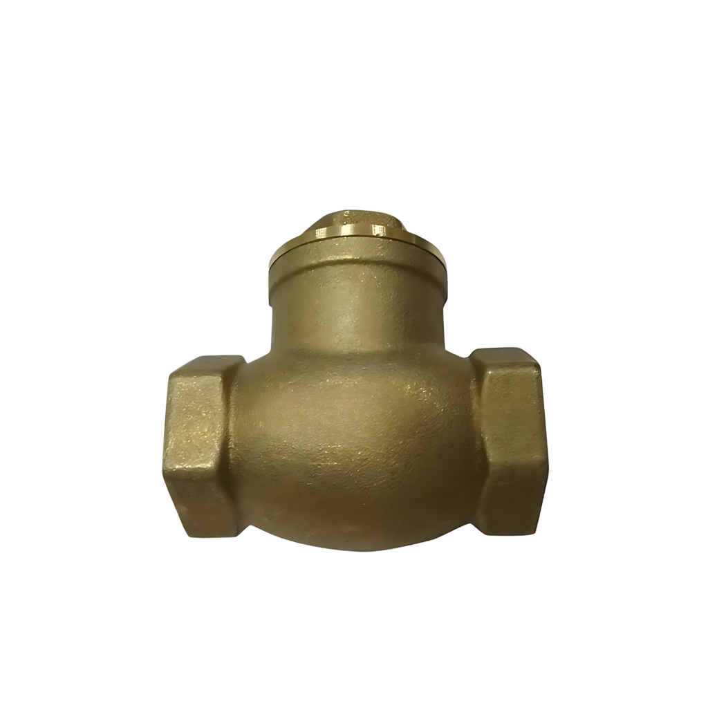 Check Valve (Swing type)