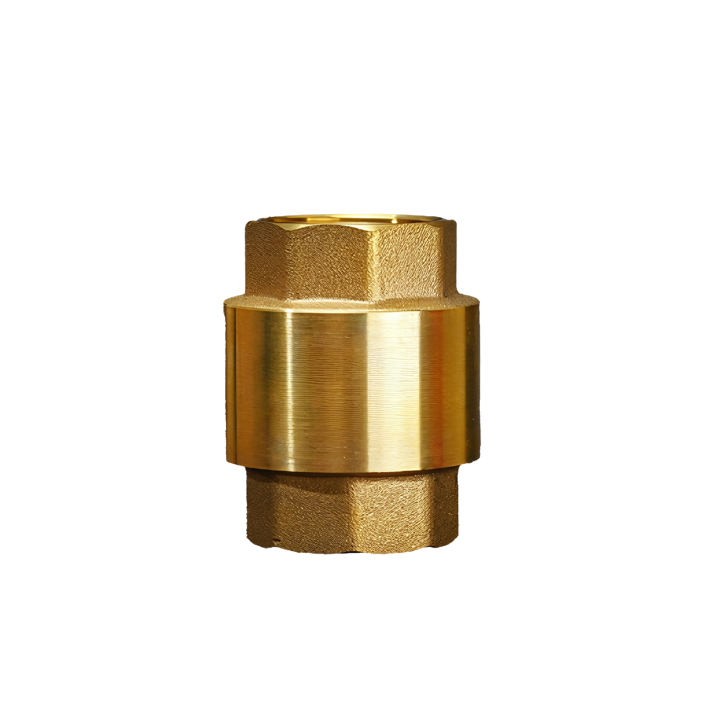 Check Valve (Spring Type)