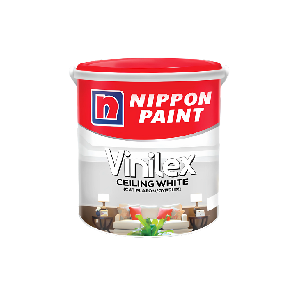 Ceiling Paint