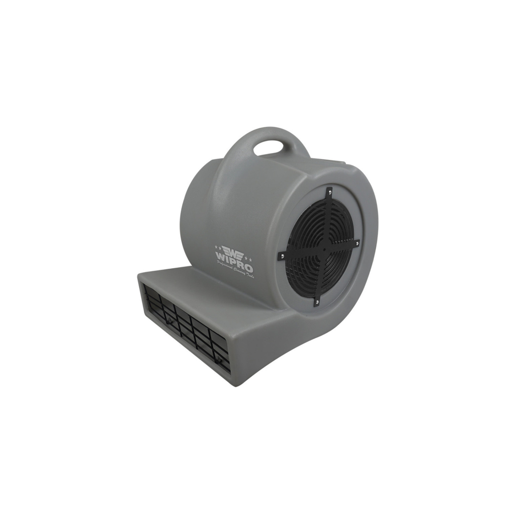 Carpet Blower (Daily)