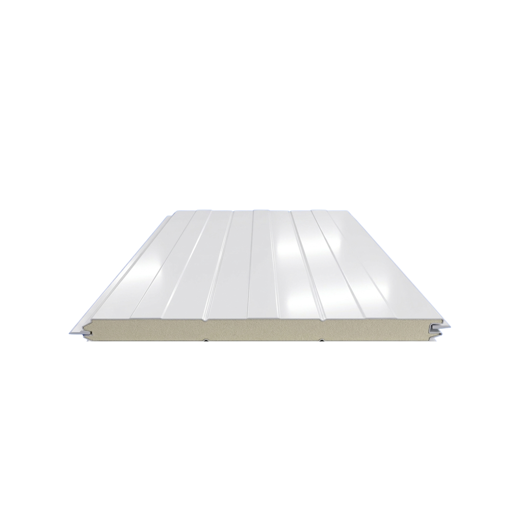 Sandwich Panel - Ceiling