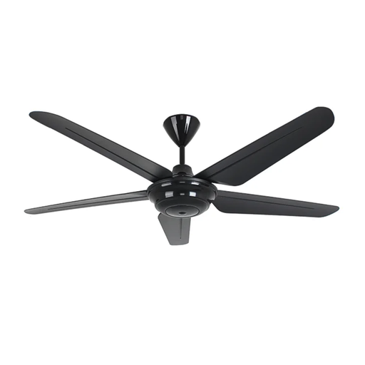 Ceiling Fans 54" B5
