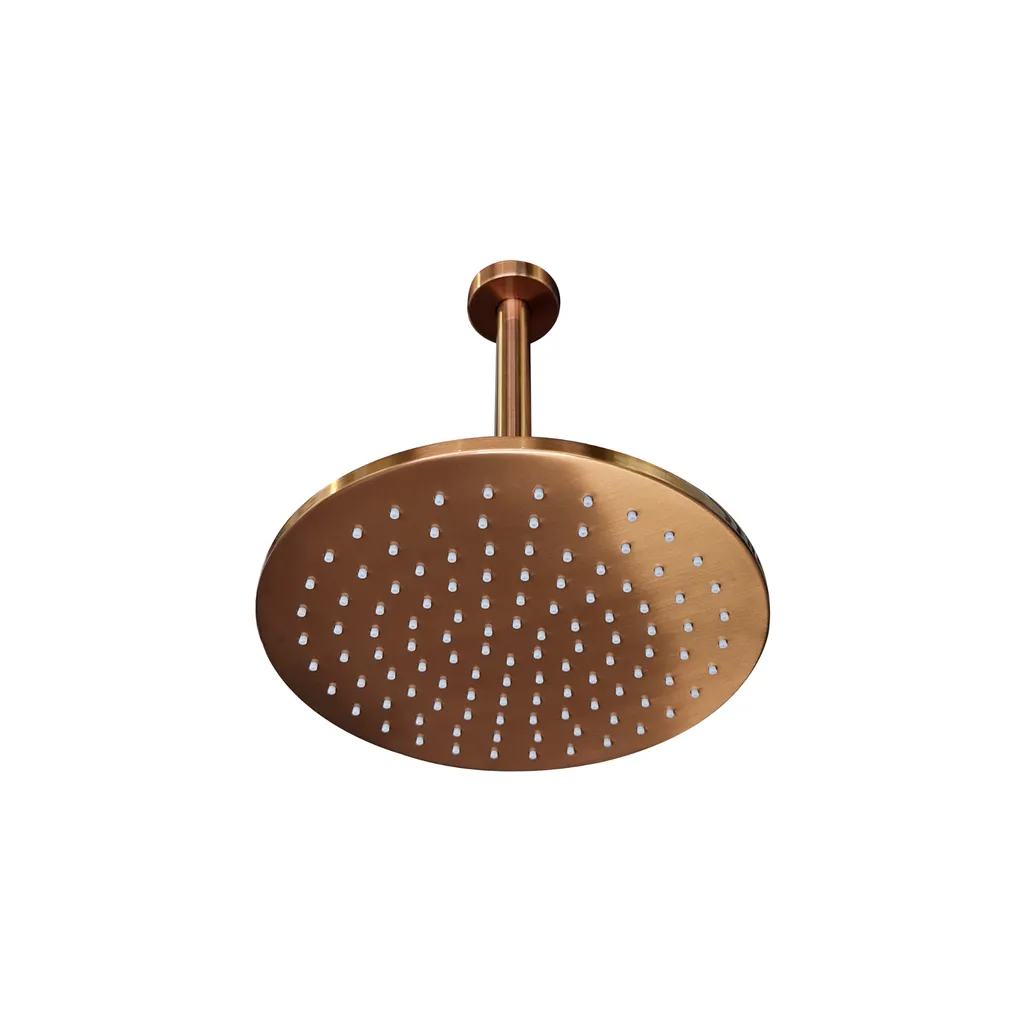 Ceiling Mount Head